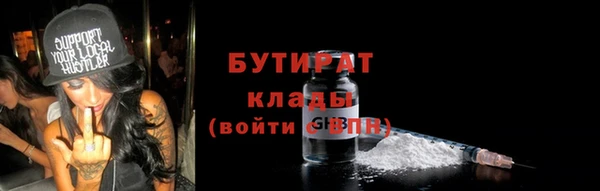гидра Вязьма