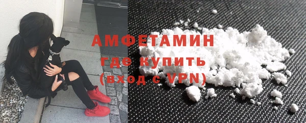 гидра Вязьма