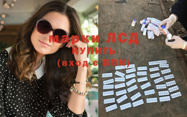эйфоретик Вяземский