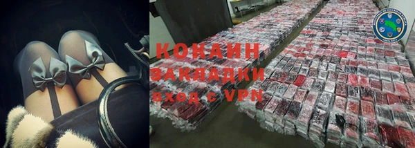 дживик Горняк