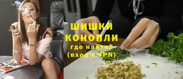 дживик Горняк