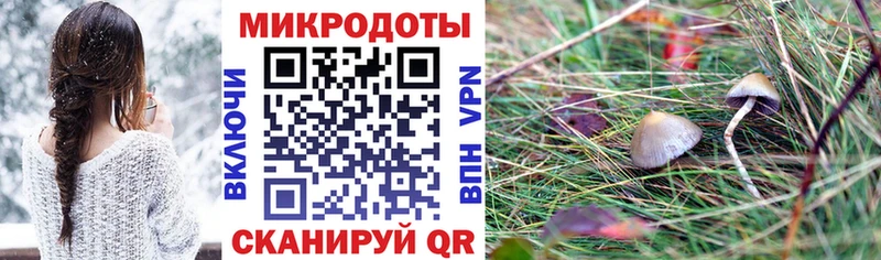 Галлюциногенные грибы MAGIC MUSHROOMS  Купить  Фокино 